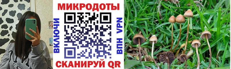 хочу наркоту  Алапаевск  Псилоцибиновые грибы ЛСД 